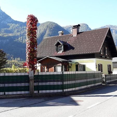 Apartament Haus Fratnik Obertraun Zewnętrze zdjęcie